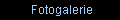 Fotogalerie