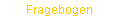 Fragebogen
