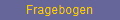 Fragebogen