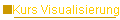     Kurs Visualisierung
