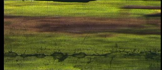 AufgenommenesEinzelbildFrame5